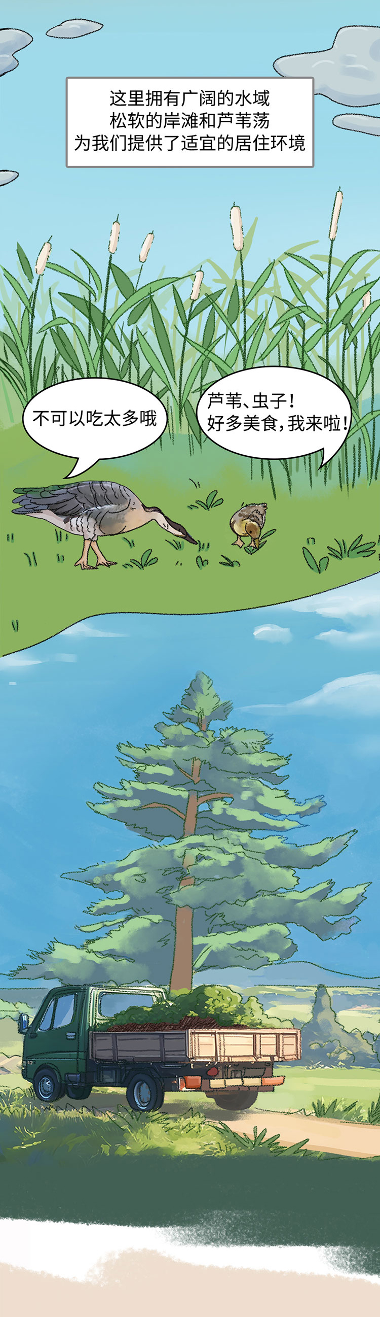 关于绿隔地区规划 听听TA们怎么说