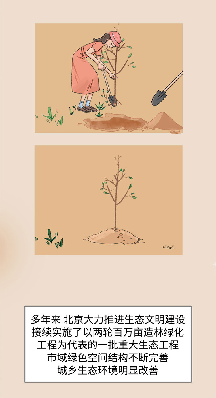 关于绿隔地区规划 听听TA们怎么说