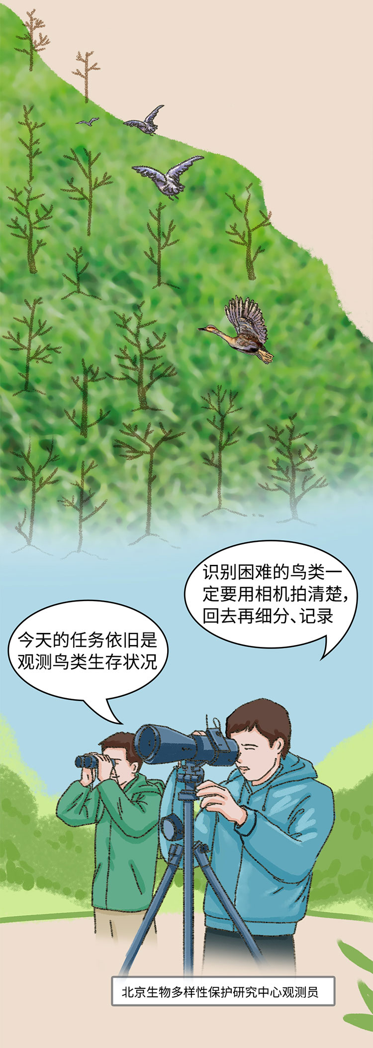 关于绿隔地区规划 听听TA们怎么说