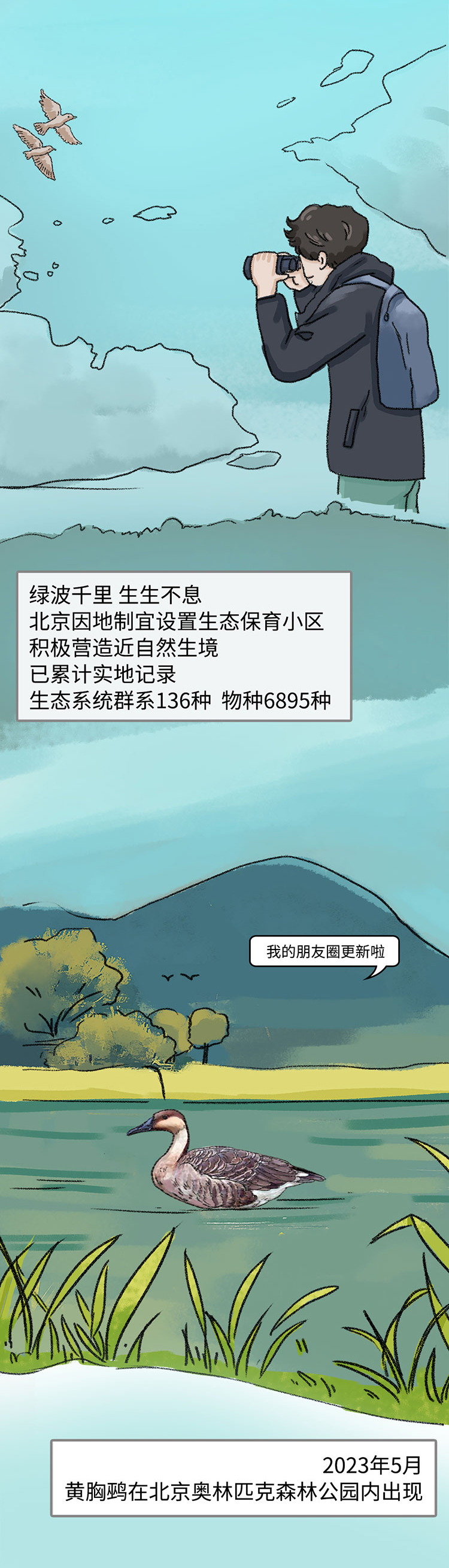 关于绿隔地区规划 听听TA们怎么说