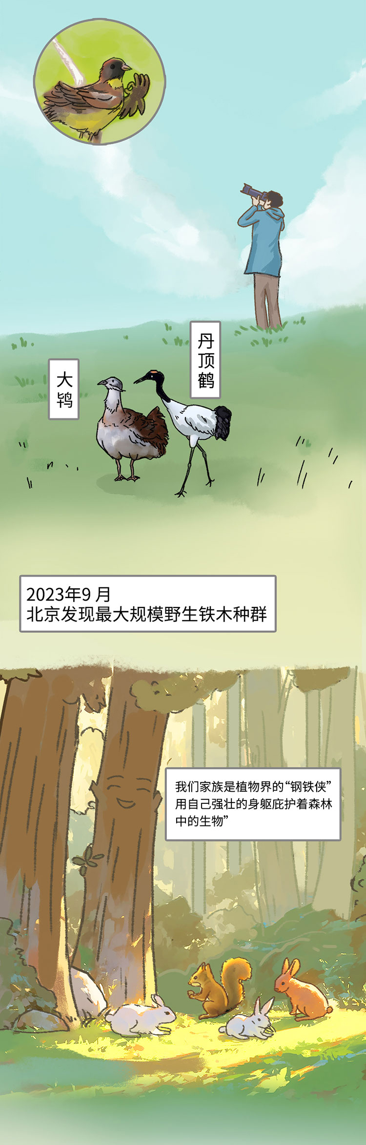 关于绿隔地区规划 听听TA们怎么说