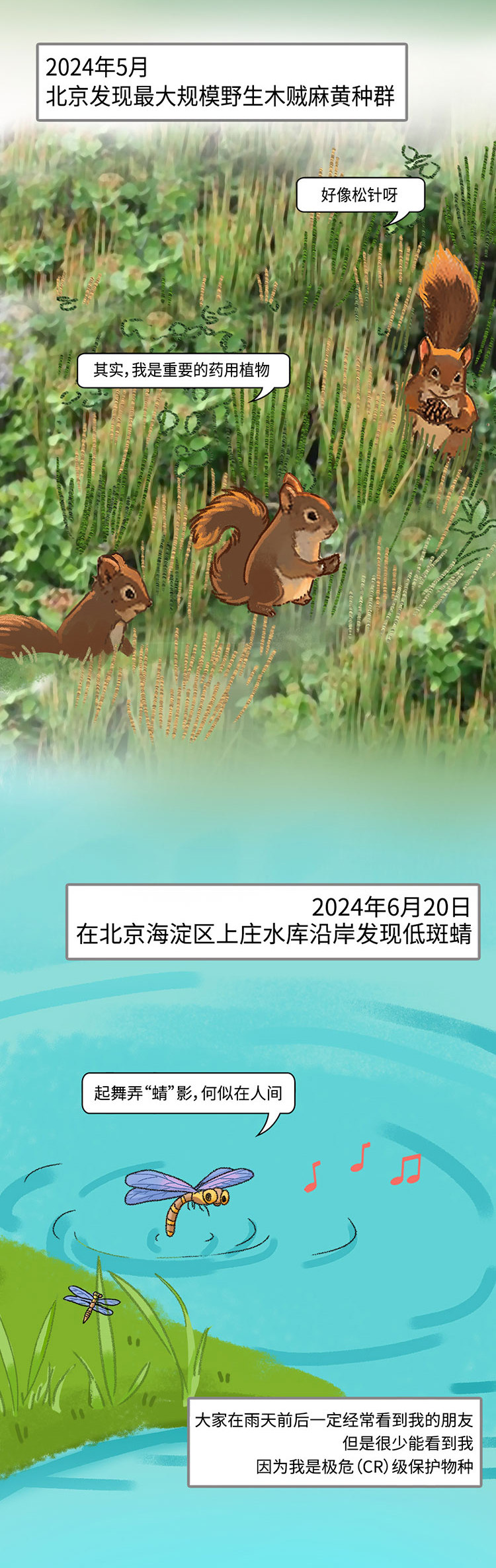 关于绿隔地区规划 听听TA们怎么说