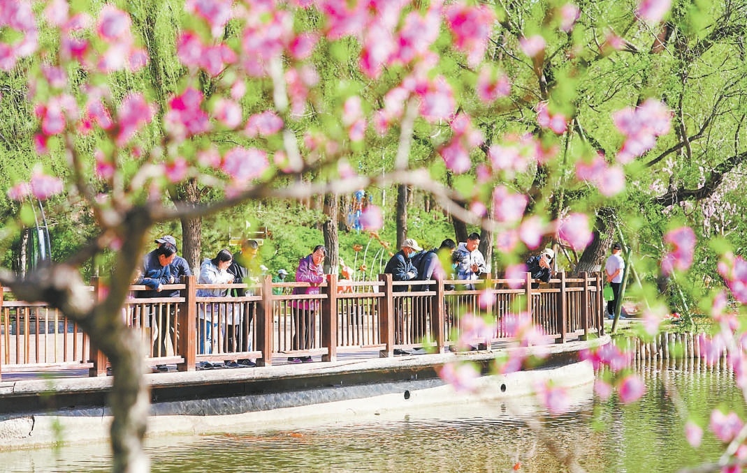 游客在大运河森林公园踏青赏花，静享假日时光。