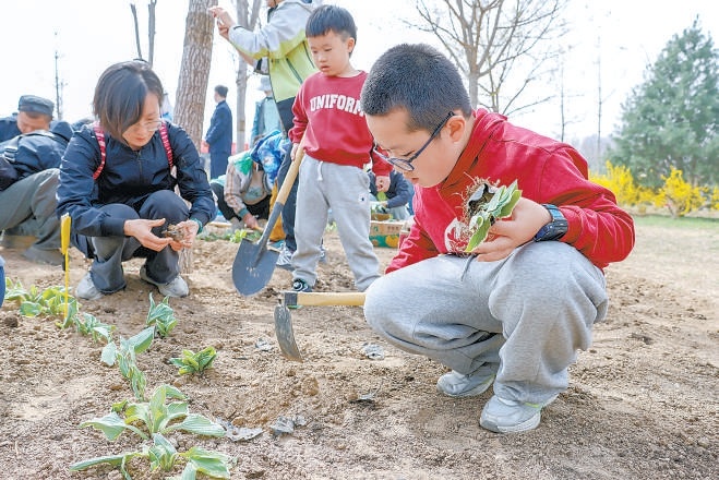市民群众参加各种植树尽责活动。