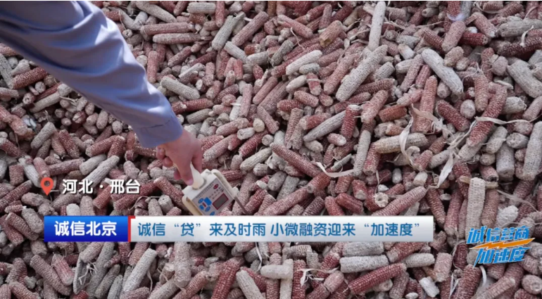 诚信“贷”来及时雨 小微融资迎来“加速度”