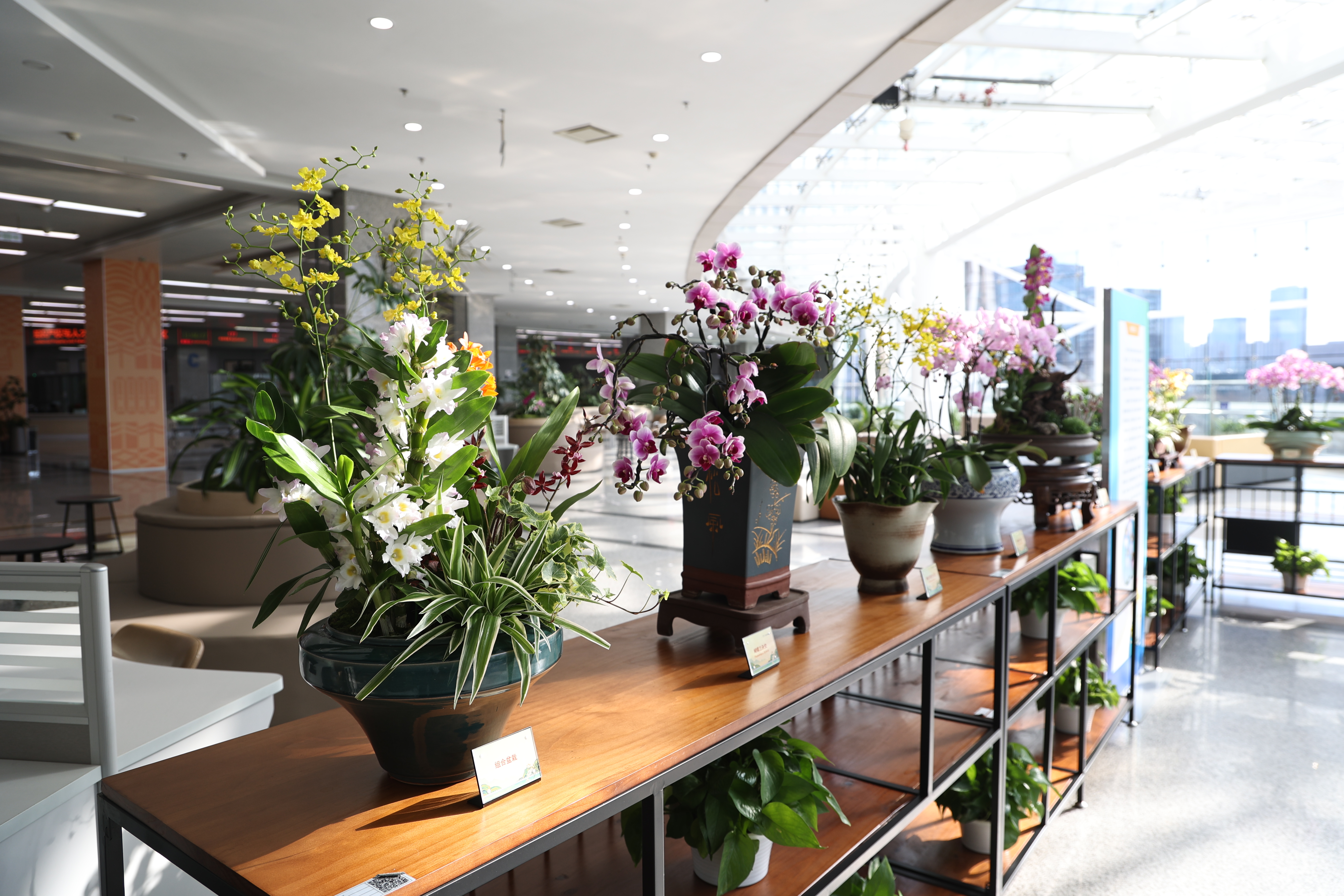 北京市政务服务中心焕新升级！除春节假期外全年开放