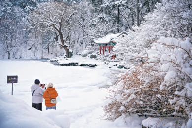 雪后的香山公园化作银装素裹的水墨画，呈现自然秀丽的冬日美景。