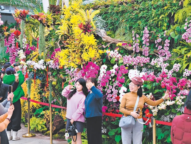 春节假期，国家植物园（北园）温室化身花的海洋，游客纷纷拍照留念。
