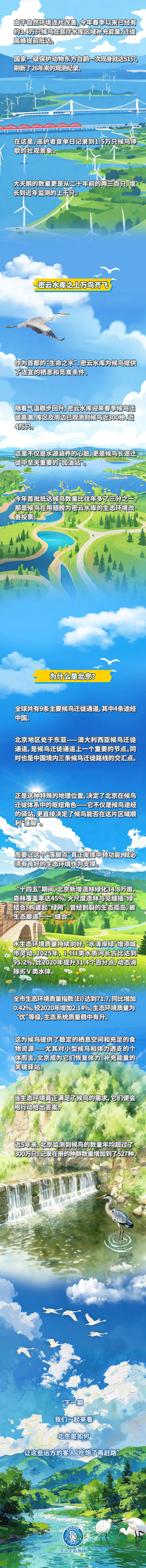 飞羽之下 | 沿着地球的弧线 它们如约而至