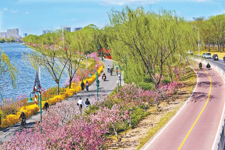 北运河新堤路与绿道如彩练铺展。骑行者穿梭花荫，车流有序穿行，尽显春日京城的盎然生机与生态之美。