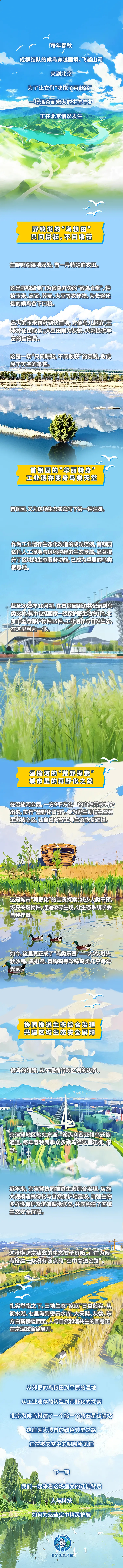 飞羽之下 | 不问收获 只候鸟归