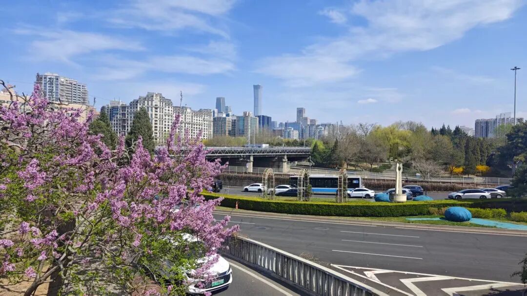 北京站，城墙为框，藏住满城桃花