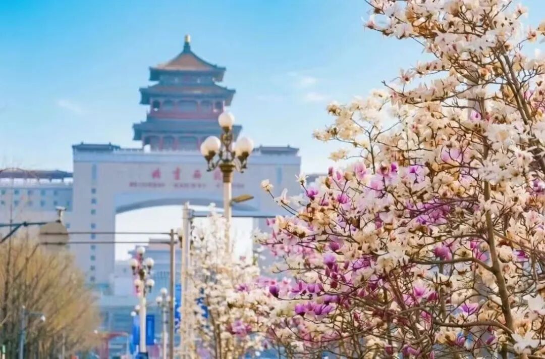 北京站 城墙为框 藏住满城桃花