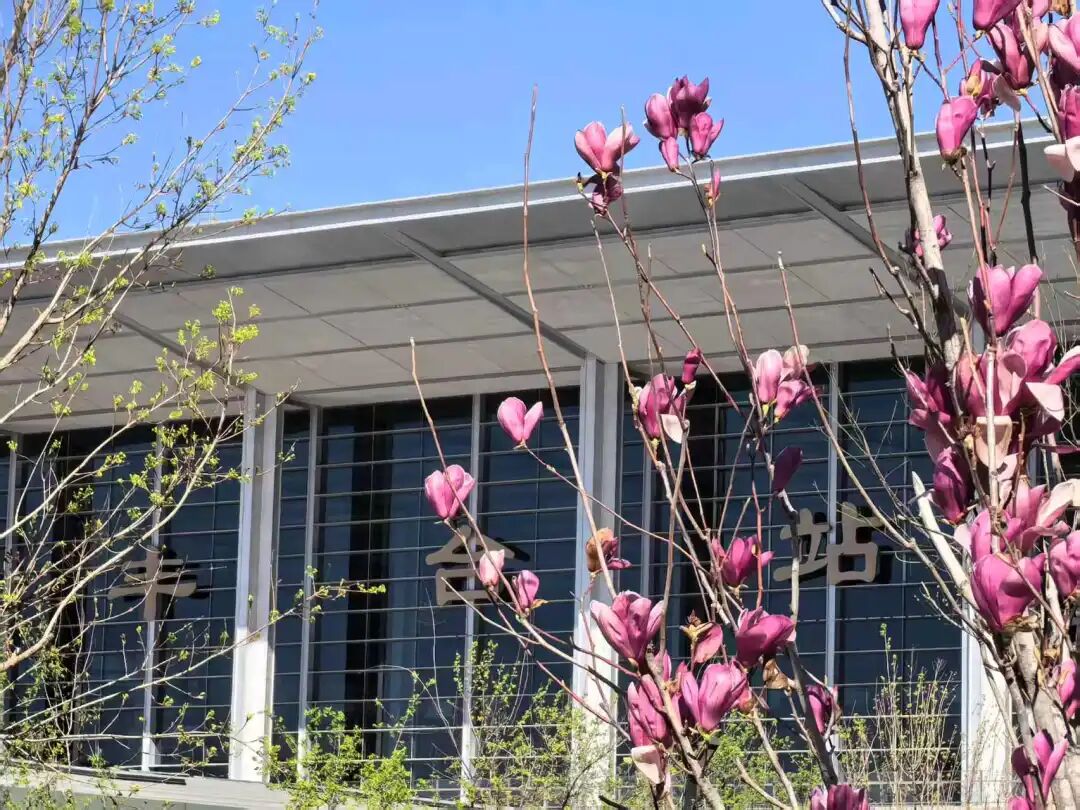 北京丰台站，紫玉盈枝韵意长，风光如画入诗章。