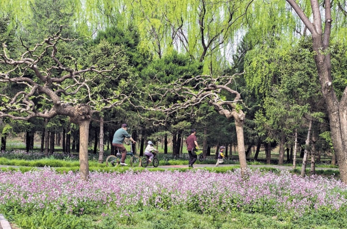 亲子家庭在东坝公园骑行、游玩。