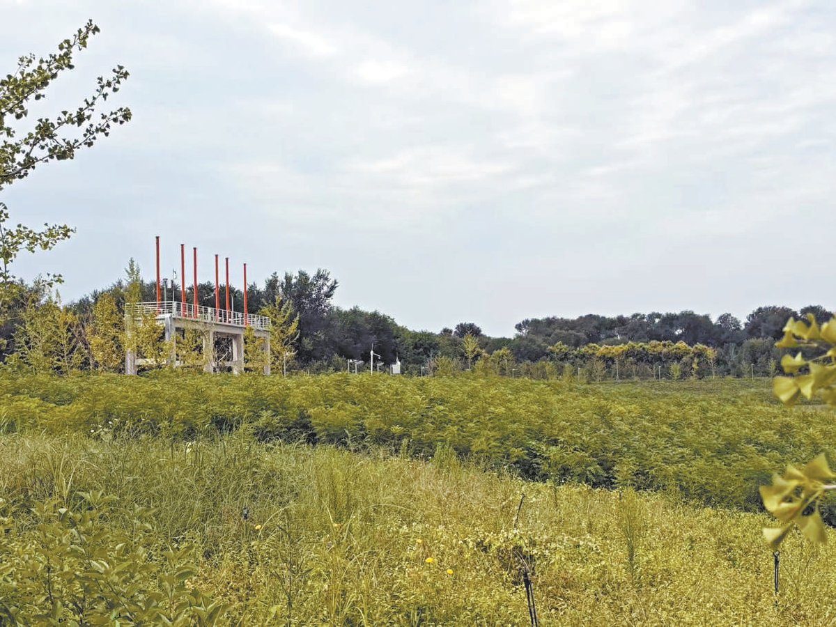 大兴国际机场滞洪工程二期西侧分洪闸。 大兴国际机场滞洪工程二期西侧分洪闸。
