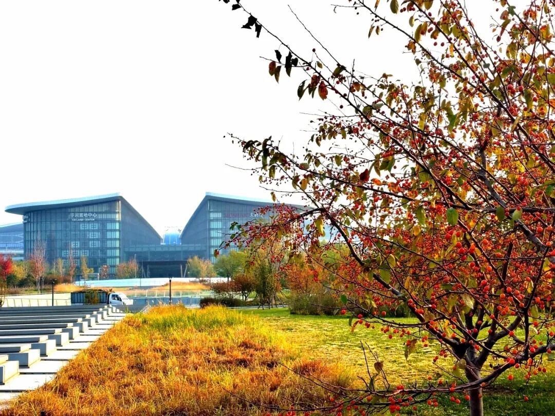 大兴机场地区 大兴机场地区