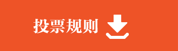 投票标准