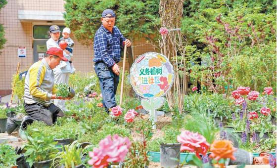 2026年再添100处社区微花园　九成以上的微花园开辟了赏花小径