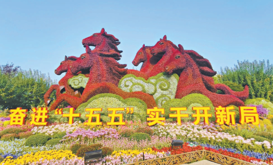 40年间——京城以花为笔绘长安街锦绣长卷
