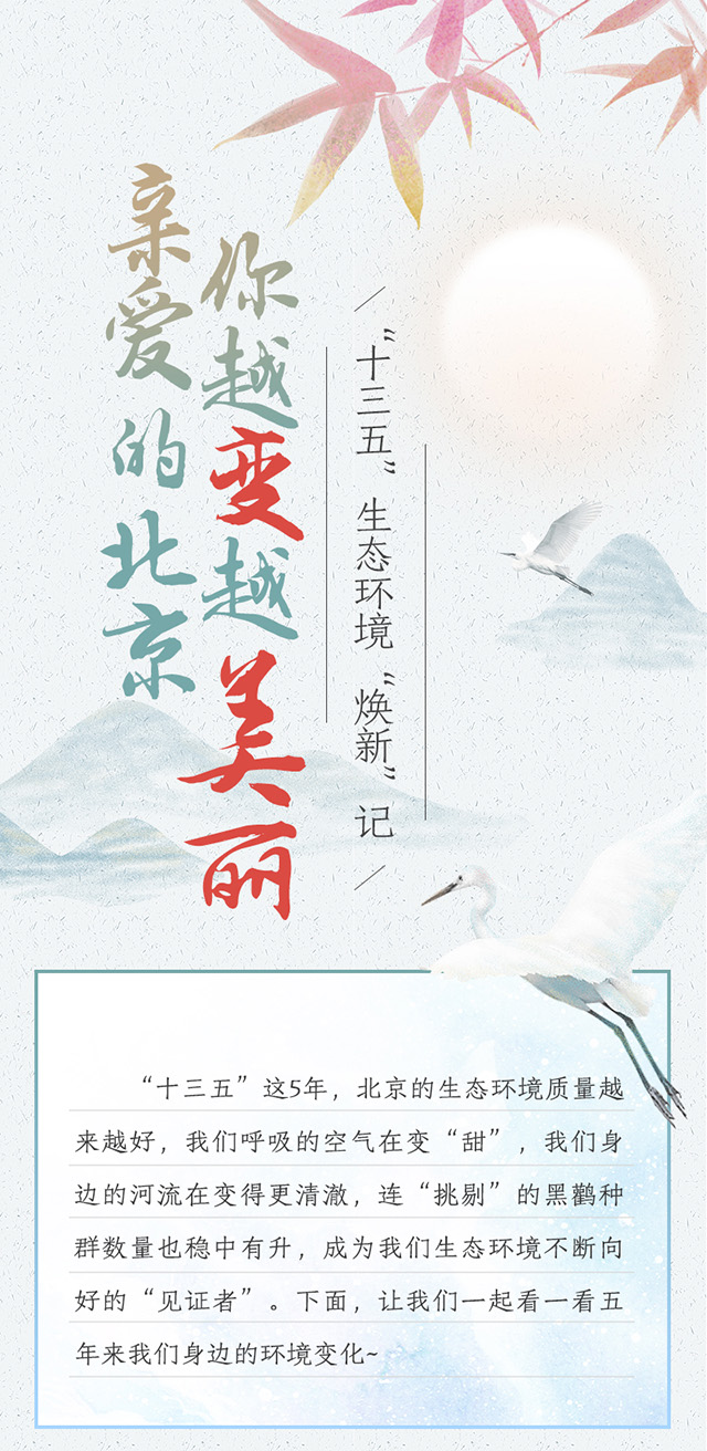 “十三五”生态环境“焕新”记