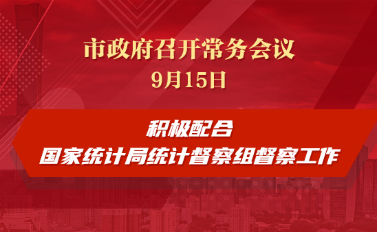 市政府常务会议：积极配合国家统计局统计督察组督察工作