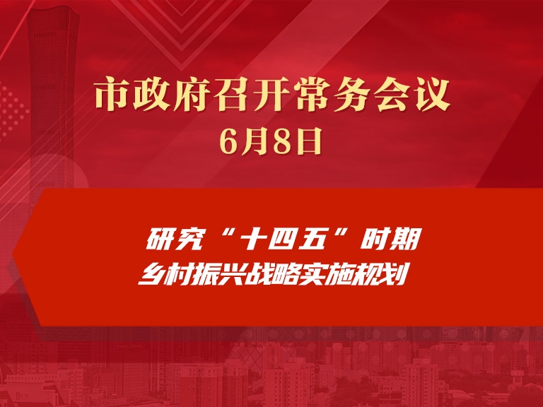 市政府常务会议：研究“十四五”时期乡村振兴战略实施规划