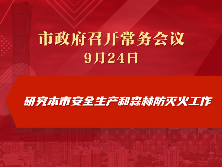 市政府常务会议图解：研究本市安全生产和森林防灭火工作
