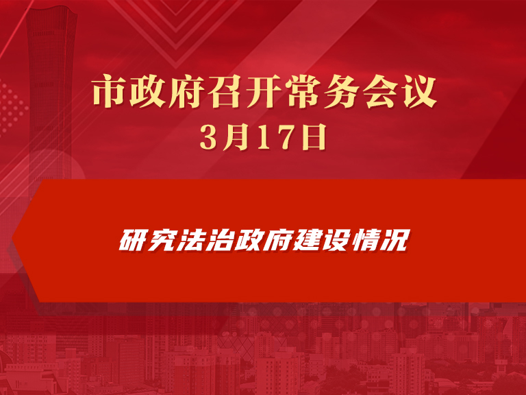 市政府常务会议图解：研究法治政府建设情况