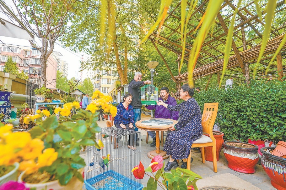胜古北里24号楼前，老街坊们在共享花园一角聊天休憩，感受鸟语花香。