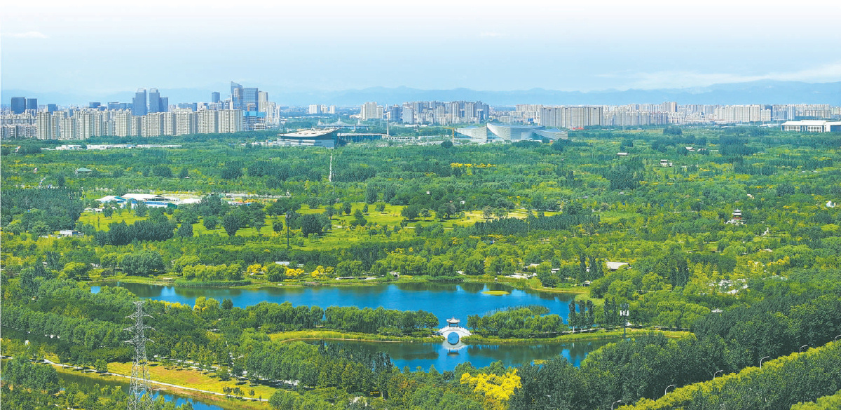 从城市绿心森林公园远眺，三大文化建筑与副中心城区既和谐共生又异彩纷呈，魅力无限。
