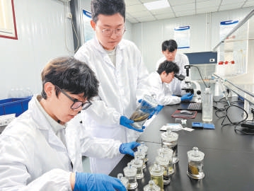 学生们正在实验室内做研究。