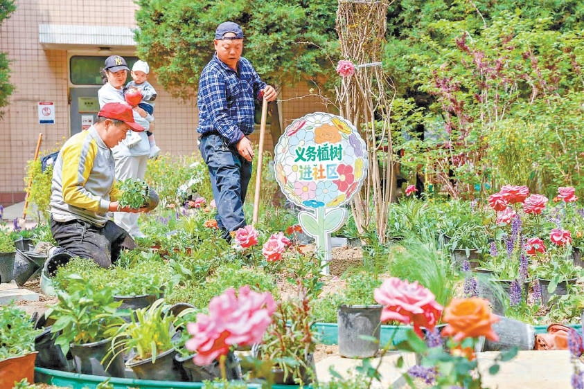 通州紫荆雅园社区微花园。 通州紫荆雅园社区微花园。