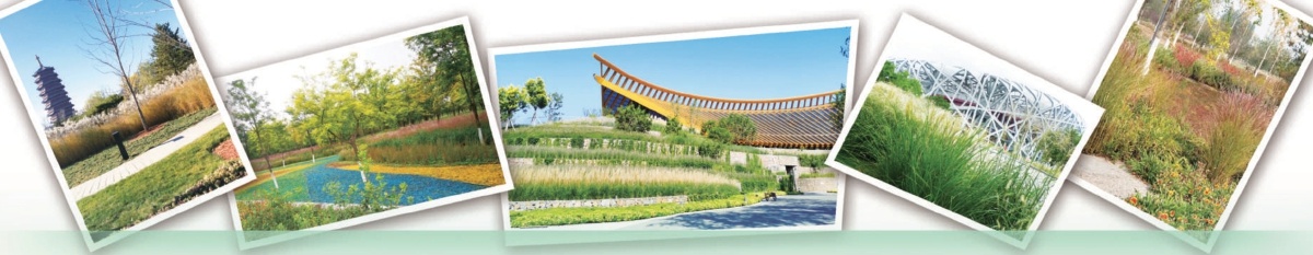 解码北京花园城市的农科方案 解码北京花园城市的农科方案