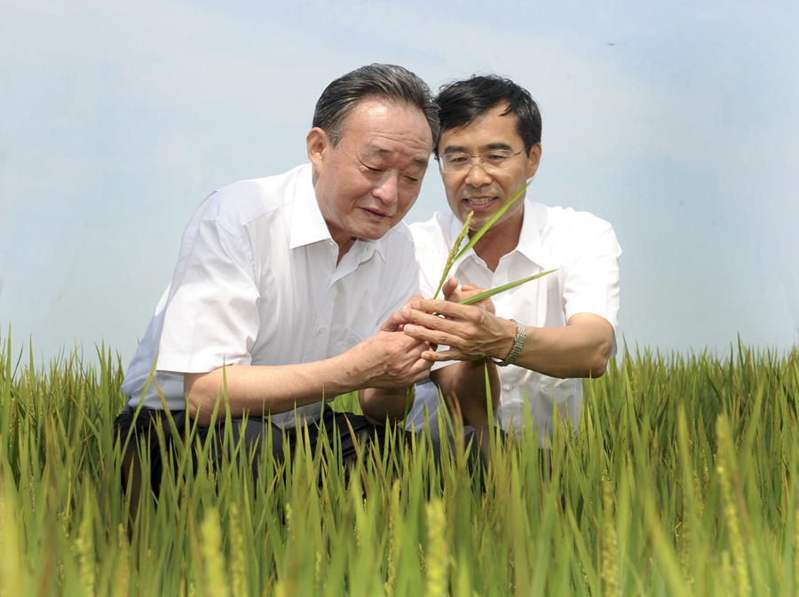 2012年7月19日，吴邦国同志在黑龙江农垦建三江管理局二道河农场万亩大地号察看水稻长势。