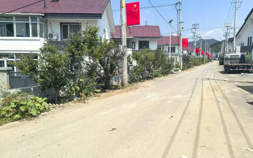 安洲坝村清淤后的街道。