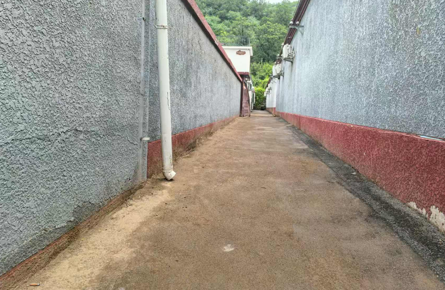 偏道子村清淤后的街道。