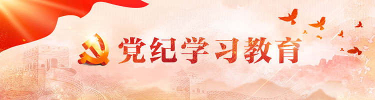 党纪学习教育-SEO