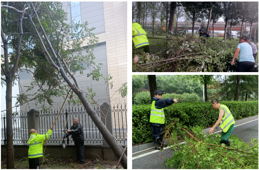 道路两侧清理倒伏树木作业中