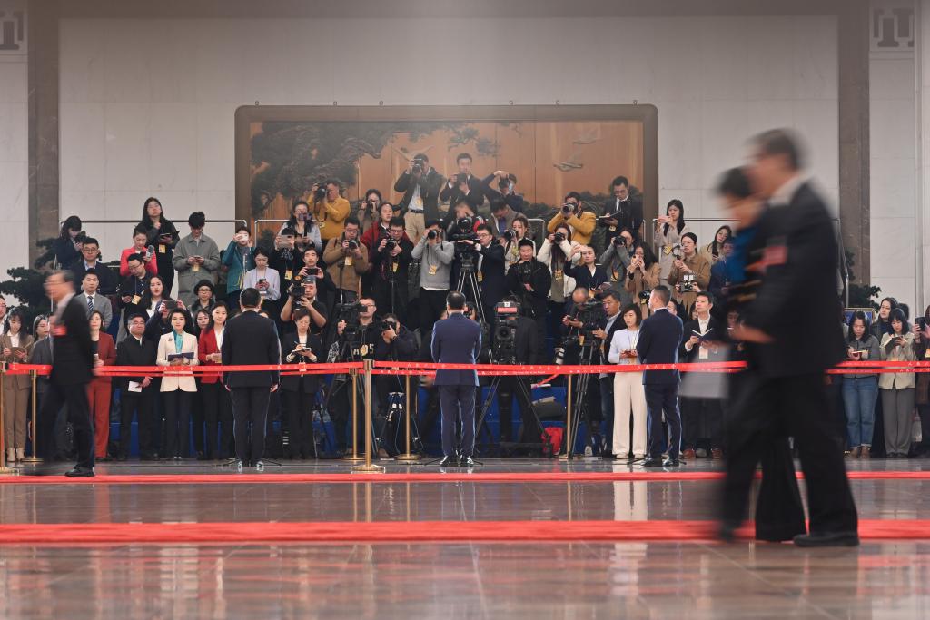 2024年3月10日，全国政协十四届二次会议第三场“委员通道”集体采访活动在北京人民大会堂举行。