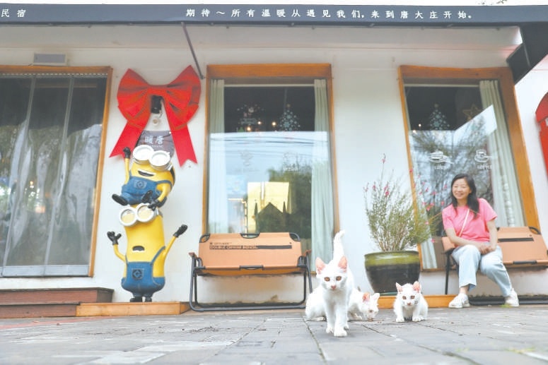 暖唐民宿小黄人主题客房受到游客青睐。