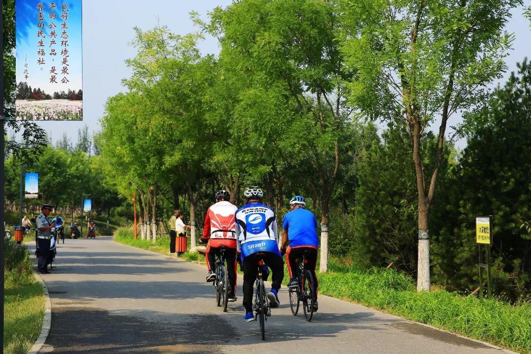 北京东郊森林公园