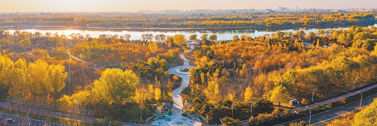 “三师融合”打造运河起点上的花园城市 林水相依 绿带延绵 翠廊纵横 森林入城
