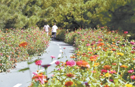 潮白河森林生态景观带今年安排四期建设，副中心东部再添大尺度林地。
