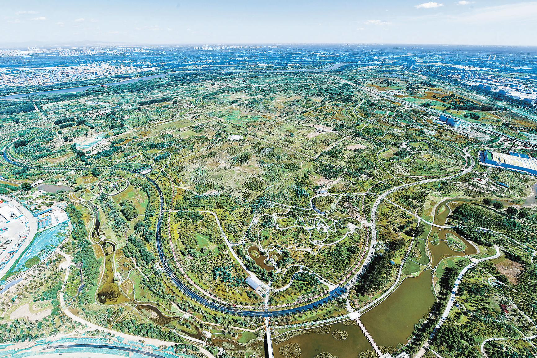 城市副中心先建绿，后造城。图为总面积达11.2平方公里的城市绿心森林公园。