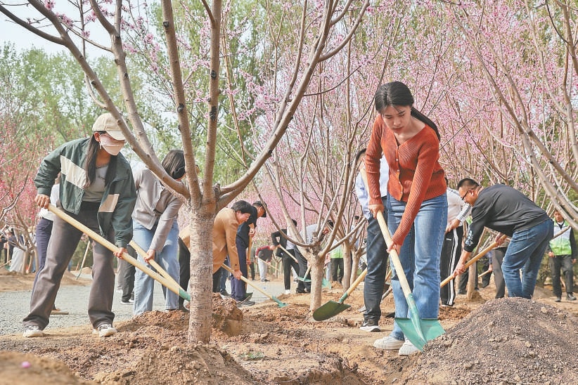 干部职工在通州区潞城镇潮白河畔义务植树。