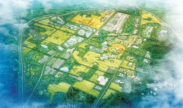 张家湾智慧护林添彩城市副中心