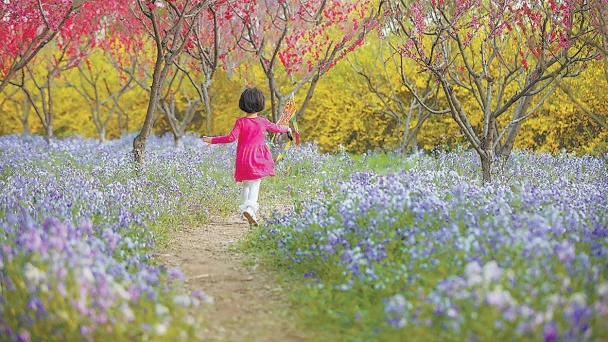 小朋友奔跑在花丛中（资料图）。