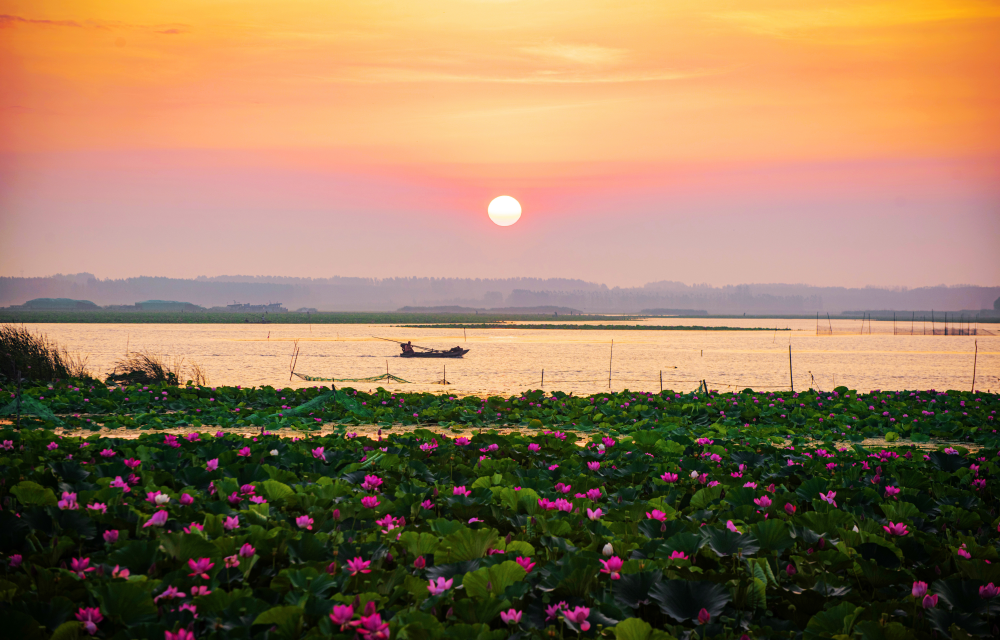 游运河 行大运