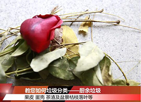 教您如何垃圾分类——厨余垃圾